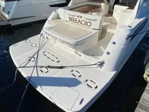 Thumbnail von Sea Ray 450 Sundancer