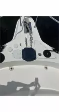 Thumbnail von Sea Ray 460 Sundancer