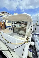 Thumbnail von Greenline 39 Hybrid Harbor Lights