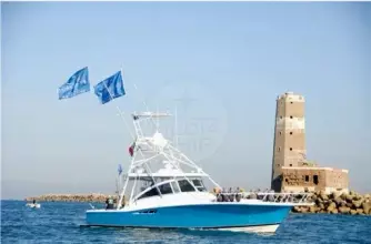 Luhrs 380