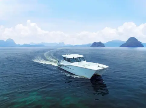 SilverCat 34 HT