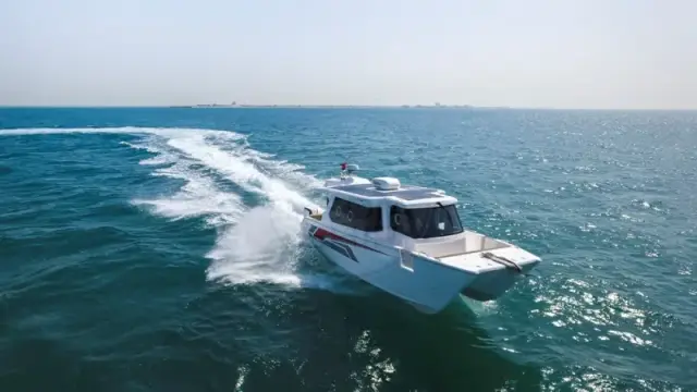 SilverCat 34 LUX