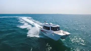 SilverCat 34 LUX