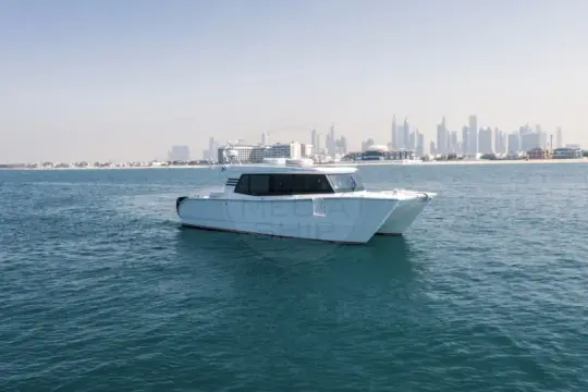 SilverCat 40 LUX