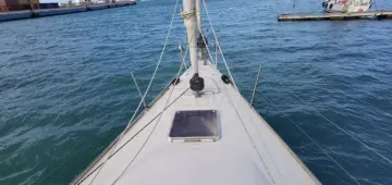 Thumbnail von Latini Marine Fast Cruiser 50