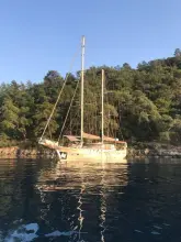 Custom Ketch 23.8