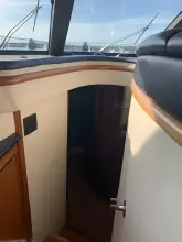 Thumbnail von Carver 450 Voyager Pilothouse