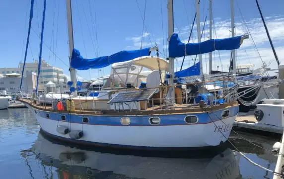 Dutch Barge 49