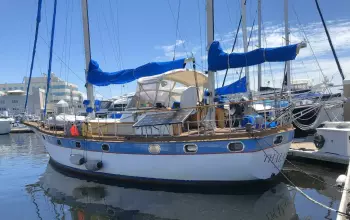 Dutch Barge 49