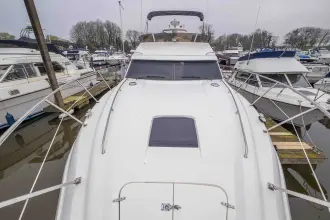 Thumbnail von Sealine 410 Statesman Destiny