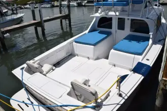 Thumbnail von Bertram 31 Flybridge Cruiser RAMPAGE