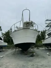 Thumbnail von Ricker 48 Convertible Severance Package
