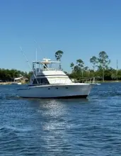 Thumbnail von Ricker 48 Convertible Severance Package