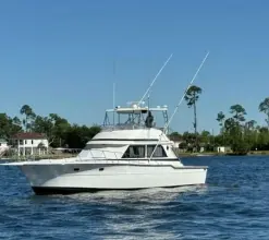 Thumbnail von Ricker 48 Convertible Severance Package