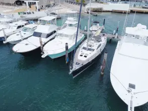Thumbnail von Jeanneau Sun Odyssey 49 DS