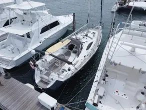 Thumbnail von Jeanneau Sun Odyssey 49 DS