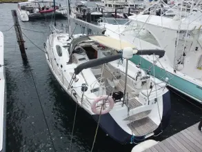 Thumbnail von Jeanneau Sun Odyssey 49 DS