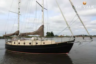 Danish Rose 42