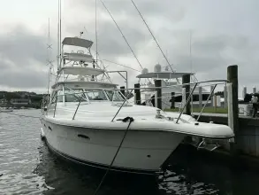 Thumbnail von Tiara Yachts 3800 Open Island Girl