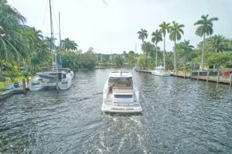 Thumbnail von Fairline Targa 53 Open