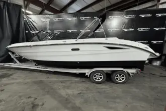 Sea Ray SDX 250