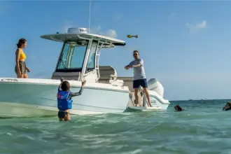 Thumbnail von Boston Whaler 280 Dauntless