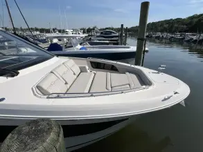 Thumbnail von Sea Ray 370 Sundancer Outboard