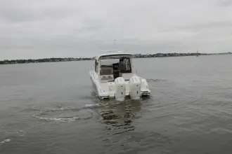 Thumbnail von Boston Whaler 365 Conquest