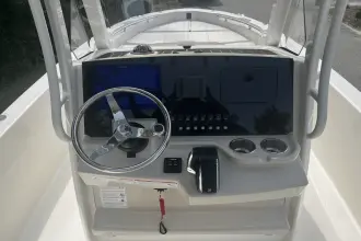 Thumbnail von Boston Whaler 250 Dauntless