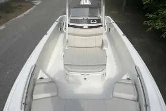 Thumbnail von Boston Whaler 250 Dauntless