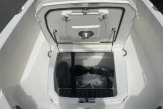 Thumbnail von Boston Whaler 250 Dauntless
