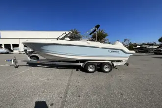 Thumbnail von Boston Whaler 210 Vantage