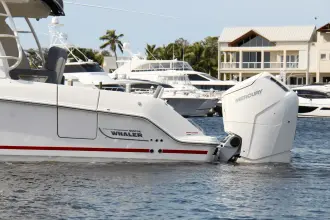 Thumbnail von Boston Whaler 380 Realm