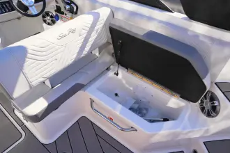 Thumbnail von Sea Ray SDX 250 Surf