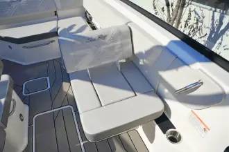 Thumbnail von Sea Ray SDX 250 Surf