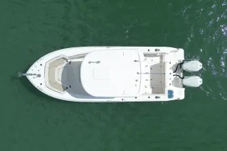 Thumbnail von Boston Whaler 250 Outrage