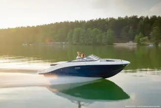 Thumbnail von Sea Ray SPX 190