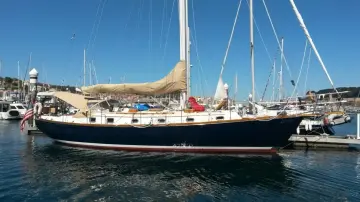 Shannon 43