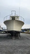 Thumbnail von Ocean Yachts 55 Super Sport Reel Easy