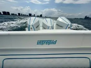 Thumbnail von Intrepid 377 WA
