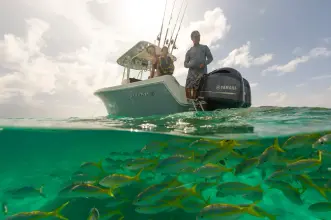 Thumbnail von Sailfish 242 CC