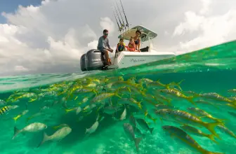 Thumbnail von Sailfish 242 CC