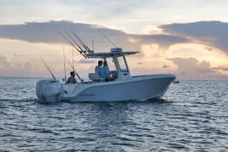 Thumbnail von Sailfish 252 CC