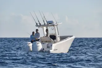 Thumbnail von Sailfish 252 CC