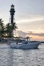 Thumbnail von Sailfish 252 CC