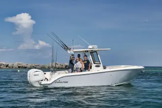 Thumbnail von Sailfish 252 CC