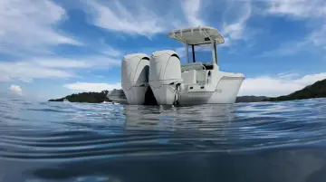 Thumbnail von Sailfish 252 CC