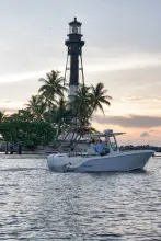 Thumbnail von Sailfish 252 CC