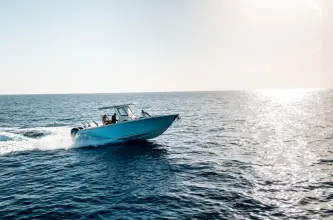 Thumbnail von Sailfish 272 CC