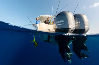Thumbnail von Sailfish 272 CC